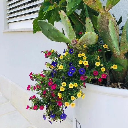 Bed and Breakfast Dimore Di Mare 4*